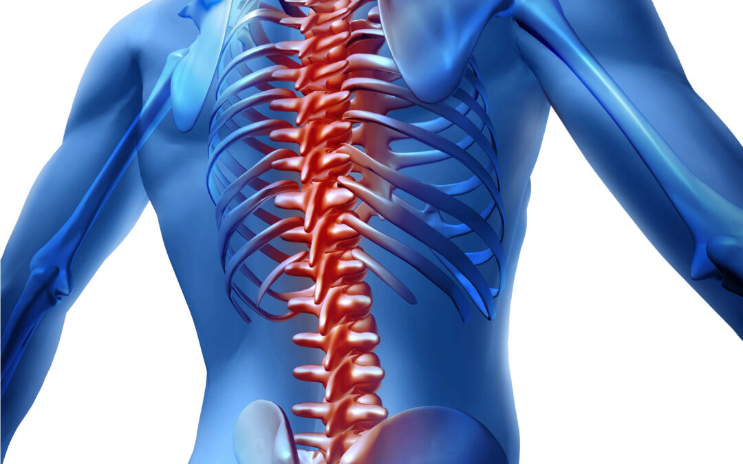 What Should You Know About Spine Injuries?